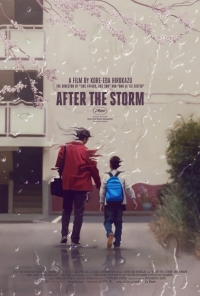 After the Storm (2017)