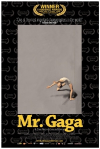 Mr. Gaga