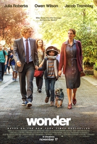 Wonder