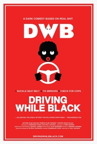 Driving While Black