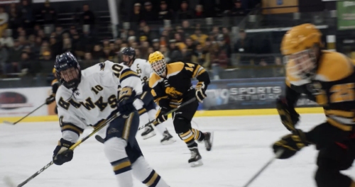 Hockeyland, Greewich Entertainment