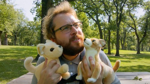 AJ Goes to the Dog Park, Doppelgnger Releasing