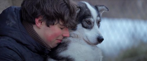 Folktales, Magnolia Pictures