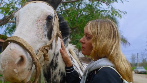 Magic Farm, Mubi