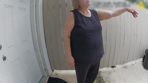 The Perfect Neighbor, Netflix